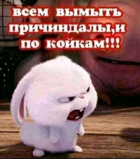 вс_ам вымыть причиндалым по койкам