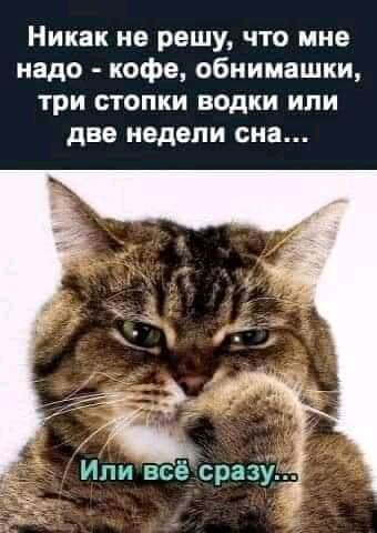 Никак не решу ЧТО мне надо кофе обнимашки три СТОПКИ водки или две недели сна Ипи всё сразуд