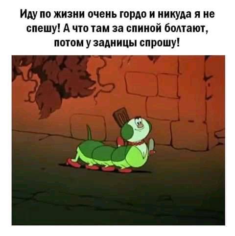 ИДУ по ЖИЗНИ очень гордо И никуда Я НЕ спешу А что там за спиной ботают потом у задницы спрошу