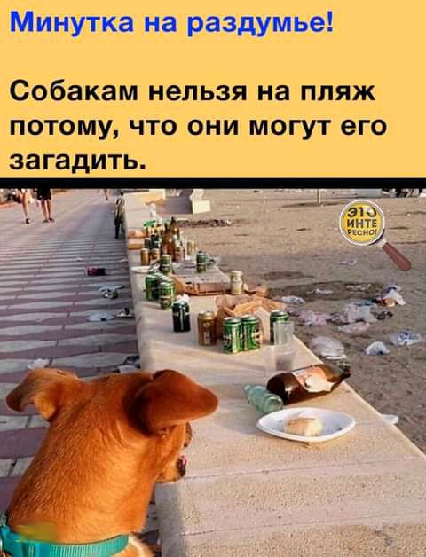 Фробакам нельзя на пляж потому что они могут _его загадиты