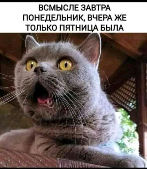 ВСМЫСЛЕ ЗАВТРА ПОНЕДЕЛЬНИК ВЧЕРА ЖЕ ТОЛЬКО ПЯТНИЦА БЫЛА