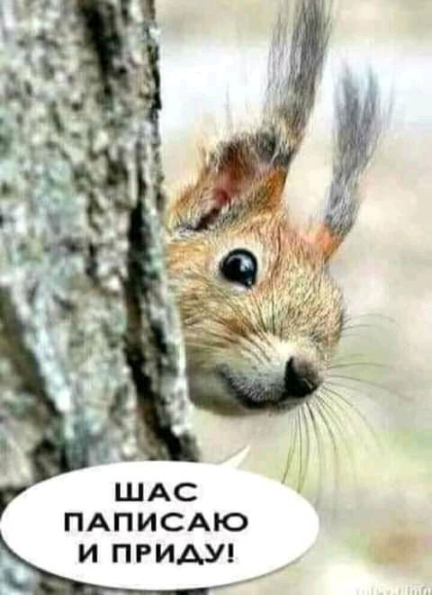 ПАПИСАЮ И ПРИАУ