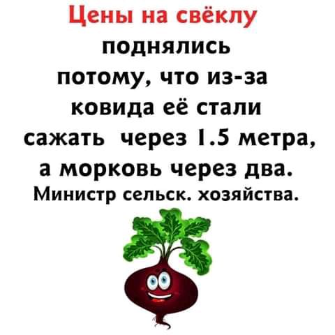 Цены на свёкпу поднялись потому что из за ковида её стали сажать через 5 метра а МОРКОВЬ через два Министр сепьск хозяйства