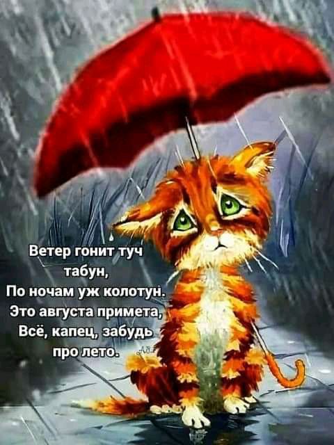 ВЁер грииттуч таёуи По ирчам уж шатун _ Это августа пёимётд