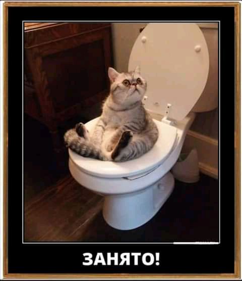 Занято!