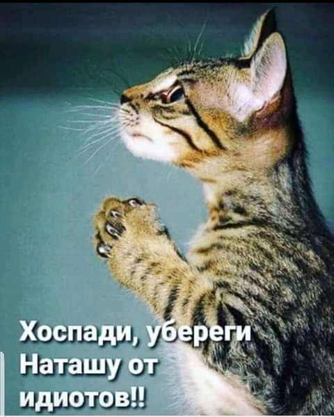 Эдгшшу ш дшшшз