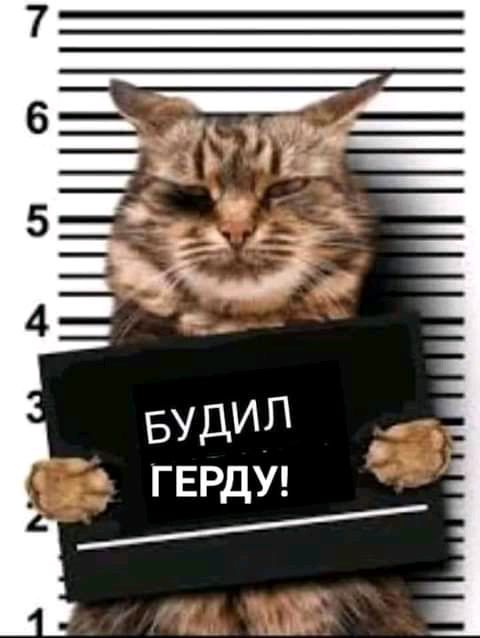 ГЕРДУ _