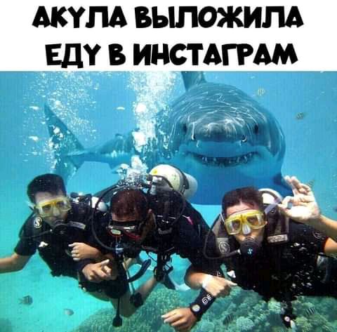 Акулд выложит _шу инстАгРАм Г к эЁах Ё