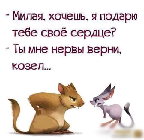 Милая хочешь я подарю тебе своё сердце Ты мне нервы верни козел