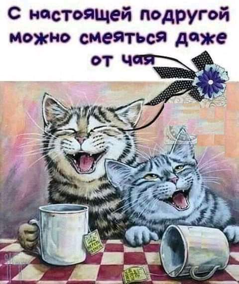 с настоящей подругой можно смеяться даже