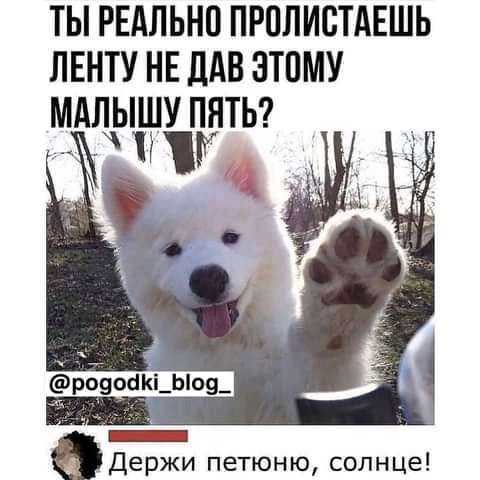 ТЫ РЕАЛЬНО ПРПЛИСТАЕШЬ ЛЕНТУ НЕ ЛАВ ЗТПМУ МАЛЫШУ ПЯТЬ бирж розоакд Ы09_ Держи петюню солнце