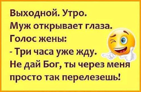 Выходной Утро Муж открывает глаза Голос жены Три часа уже жду __ Не дай Бог ты через меня просто так перелезешь