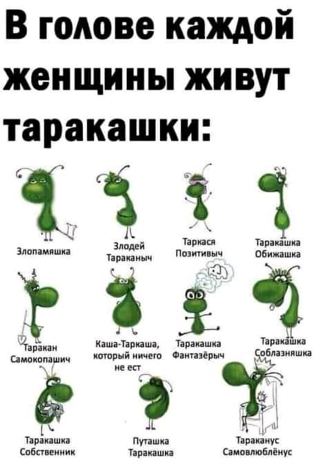 В голове каждой женщины живут таракашки Пяти план 3 и Зламмпшп иж ни от іі 24 т _ Калмаши Уарнпшия паи ив акіи амщщ итпыйиицет Фіипэёпш ваши иена 1х Тігшши Птши таран мук Сцбппииии Никишин Самимвобліии