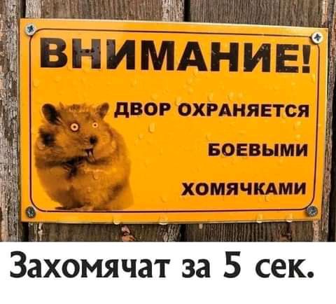 Захомячат за 5 сек