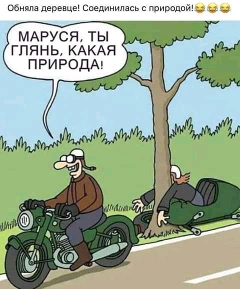 обняла деревце соединилась природойі г МАРУСЯ ТЫ ГПЯНЬКАКАЯ природм