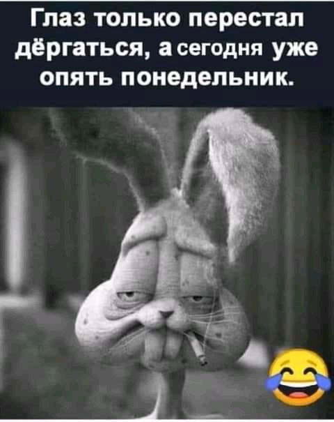 Глаз только перестал дёргаться асегодия уже ОПЯТЬ ПОНЕДЕЛЬНИК