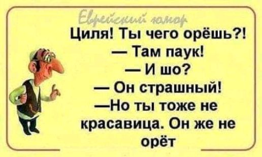 Циля Ты чего орёшь Там паук И шо Он страшный Но ты тоже не красавица Он же не орёт