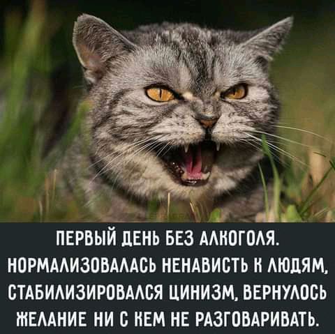ПЕРВЫЙ ЛЕНЬ БЕЗ МНПГПАЯ НОРМААИЗОВМАСЬ НЕНАБИБТЬ Н АЮДЯМ ВТАБИАИЗИРПВААСЯ ЦИНИЗМ ВЕРНУАОВЬ ЖЕААНИЕ НИ с НЕМ НЕ РАЗГОВАРИВАТЬ