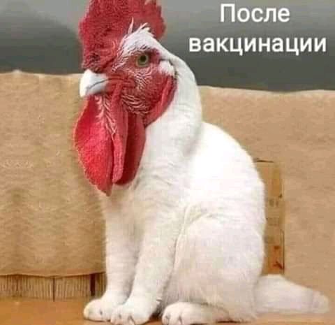После вакцинации