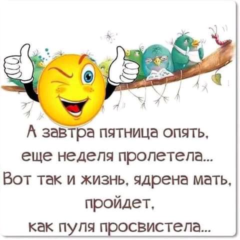 А завтра пятница опять еще недепя пролетела Вот так и жизнь ядрена мать пройдет как п пя п освистепа
