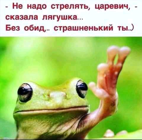 Не надо стрелять царевич сказала лягушка Без обид страшненький ты