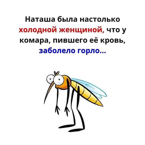 Наташа была настолько холодной женщиной что у комара пившего её кровь заболело горло