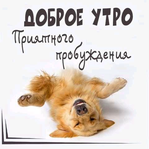 дОБРОЕ ПРО ТГ имтцою пеодэщенщ