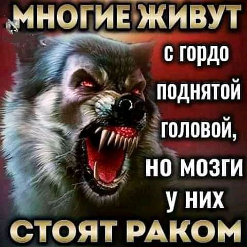 МНОГИЕЖЙВУТ о гордо 3 поднятой Ёголовой номозги уних СТОЯТ РАКЁМ