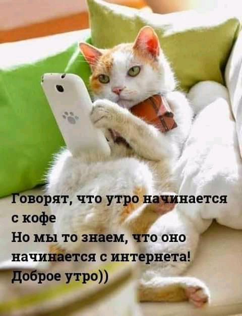 Ят, что утро нается скофе нппптоям оон начив