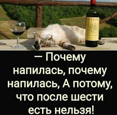 напилась почему напилась А потому что после шести есть нельзя