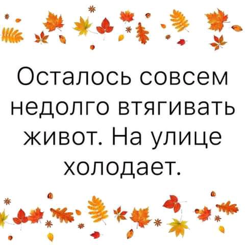 ЁЁФ Осталось совсем недолго втягивать живот На улице холодает днігад ч