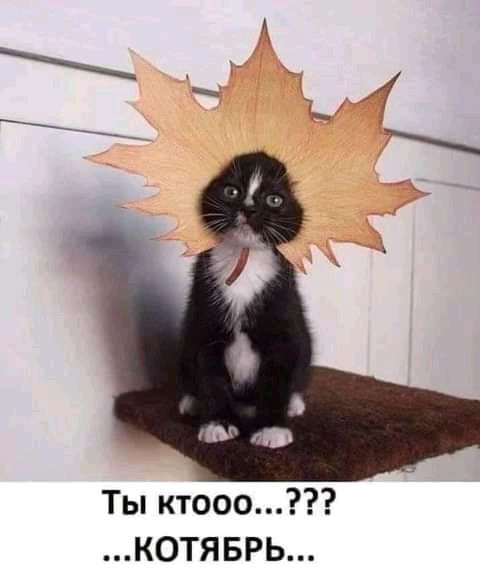 Ты ктооо7 КОТЯБРЬ
