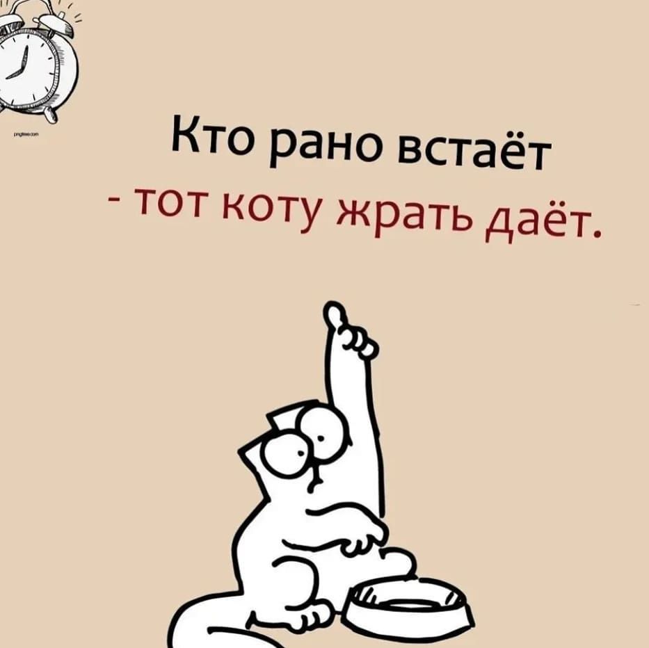 кто рано встаёт  тот коту жрать даёт.