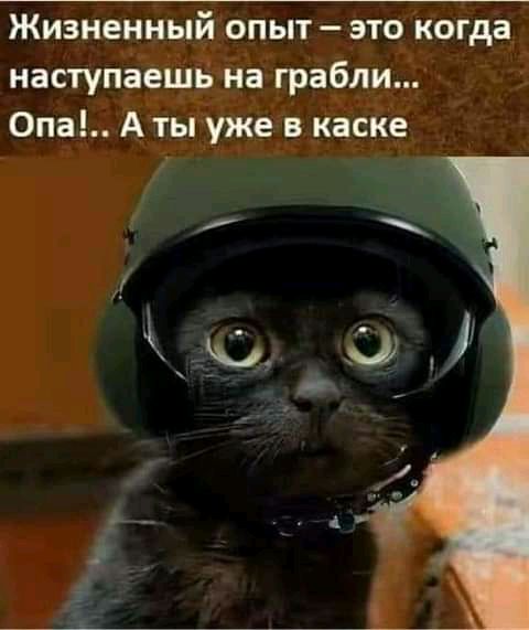 Жизненный опыт это когда наступаешв на грабли Опа А ты уже каске