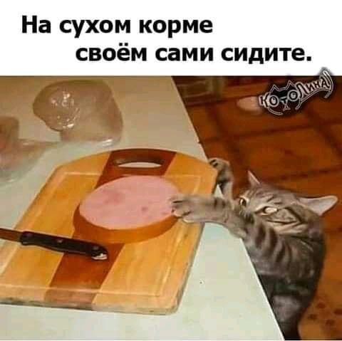 На сухом корме своём сами сидите