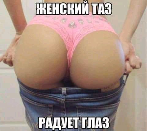гддитгппзт
