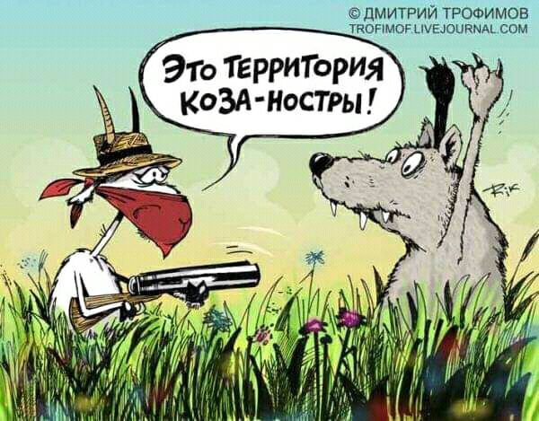 ЦМИТРИЙ ТРОФИМОВ ТКОНМОР шысикмьсом Это территърия КОЗА НОСТРЫ