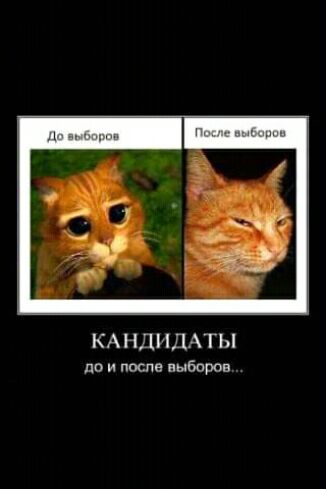КА НДНДАТЫ до и после выборов
