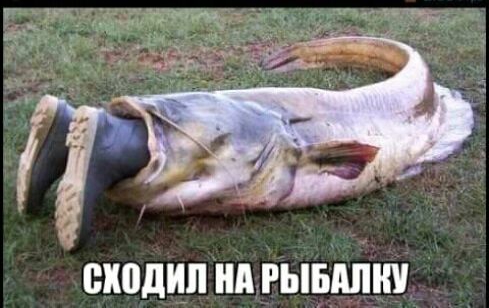 сходил НА РЫБАЛШ