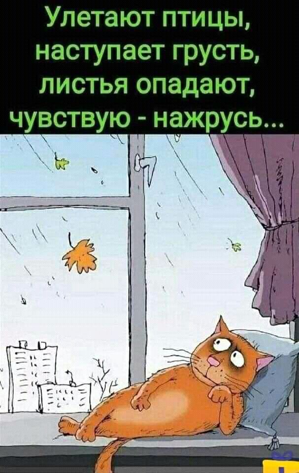 Улетают птицы наступает грусть листья опадают чувствую нажрусь