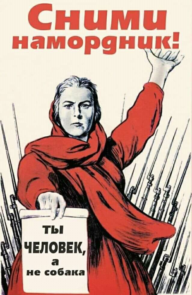 _ ты же чвловвк М а ие собака