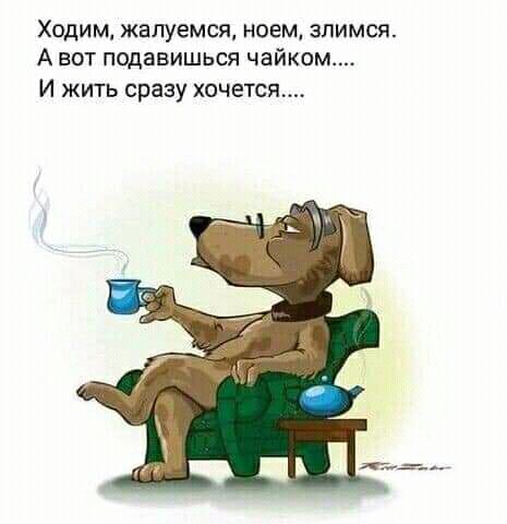 Ходим жалуемся ноем зпимся А вот подавишься чайком И жить сразу хочется