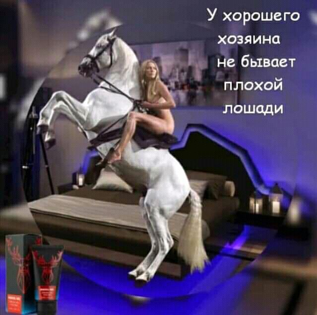 У хорошего хозяина Не бывает плохой лошади 1 и