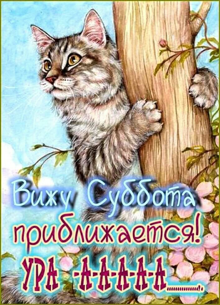 т прибтёетъ __ _ Я лллллллл __ у