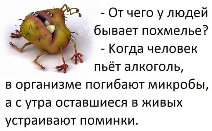 От чего у людей бывает похмелье Когда человек пьёт алкоголь в организме погибают микробы а с утра оставшиеся в живых устраивают поминки