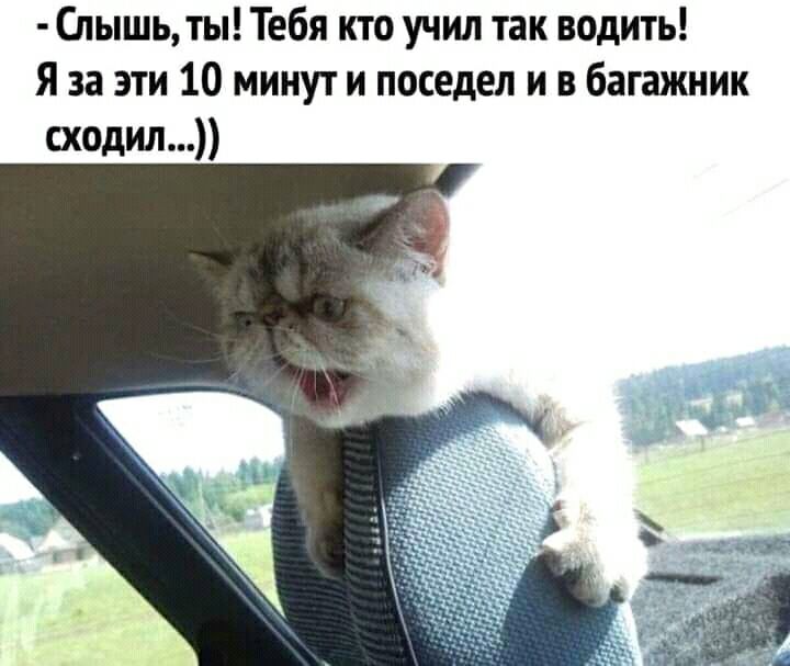 Слышь ты Тебя кто учил так водить Я за эти 10 минут и поседел и в багажник сходил