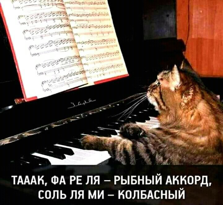 ТАААК ФА РЕ ЛЯ РЫБНЫЙ АККОРД СОЛЬ ЛЯ МИ НОЛБАСНЫЙ