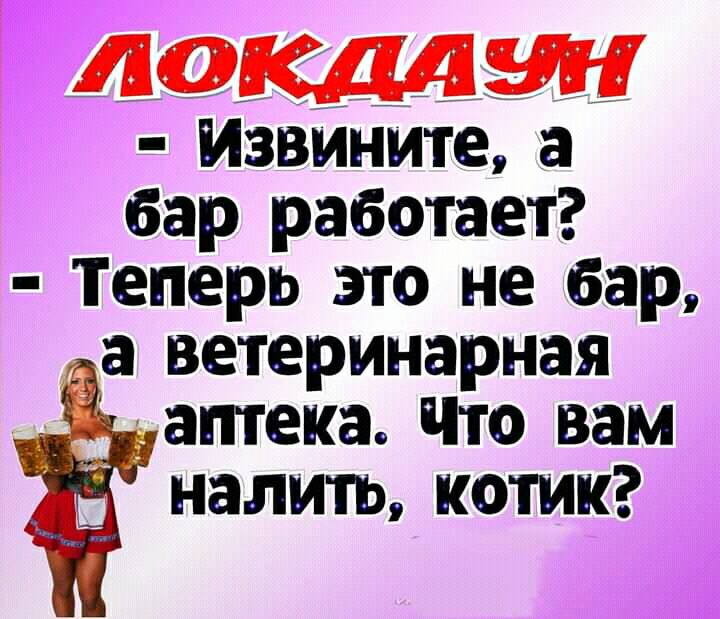 Извйнйте а бар работает Теперь это не бар а ветеринарная аптека Что вам налить котик