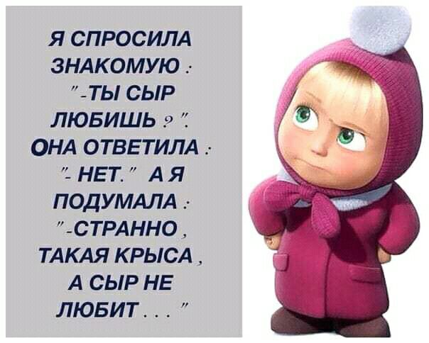 Я СПРОСИЛА ЗНАКОМУЮ ТЫ СЫР ЛЮБИШЬ ОНА ОТВЕТИЛА _ НЕТ А Я ПОДУМАЛА _СТРАННО ТАКАЯ КРЫСА А СЫР НЕ ЛЮБИТ