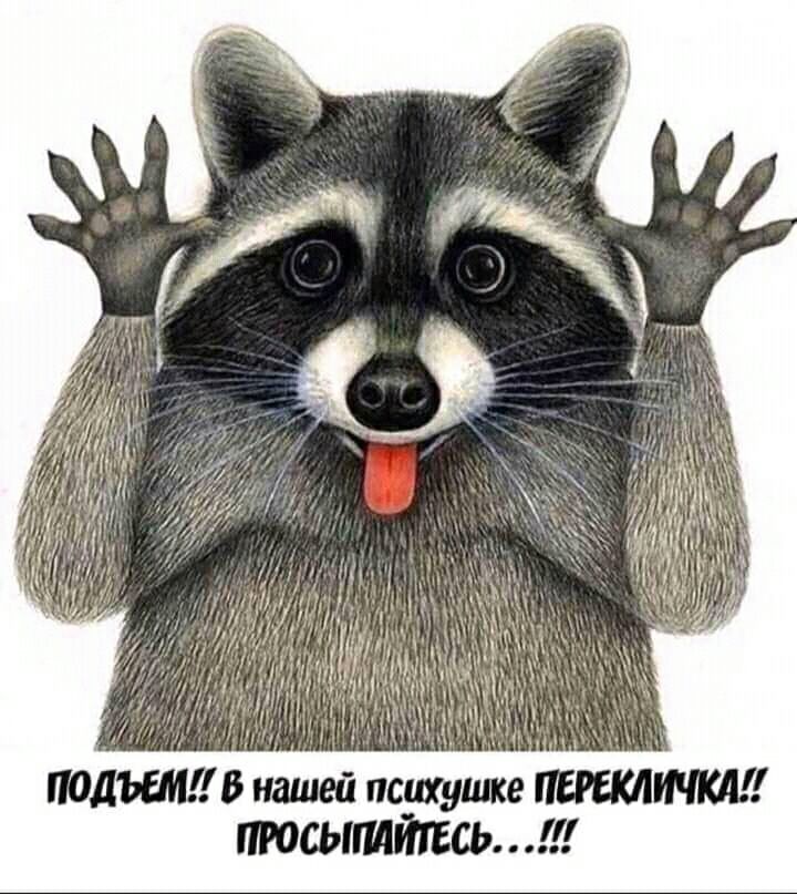 ОДИН В нашей психуше пюсышйггсь
